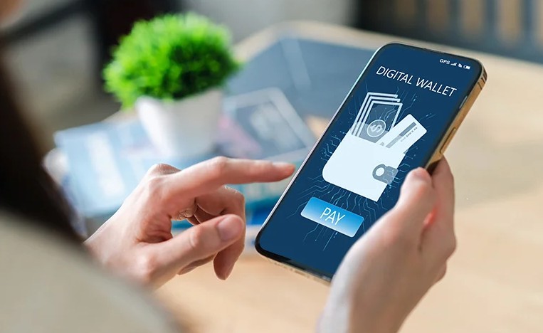 What is the DANA digital wallet application and its various benefits for transactions?